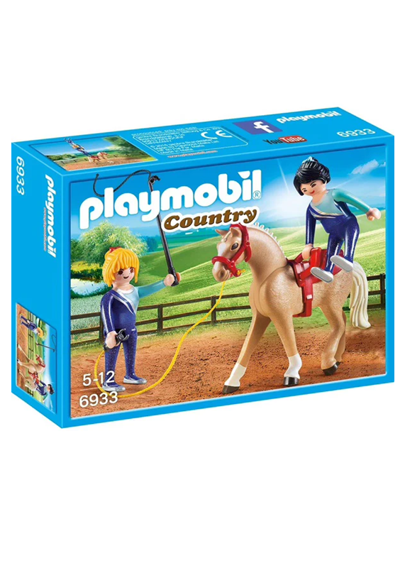 Addestramenyo equestre