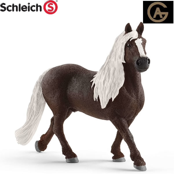 施莱希黑森林种马