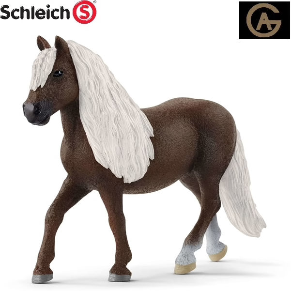 施莱希黑森林母马