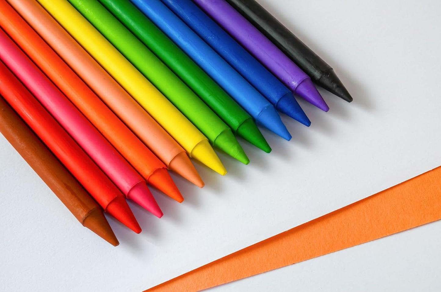 Confezione 24 pastelli a cera bic kids
