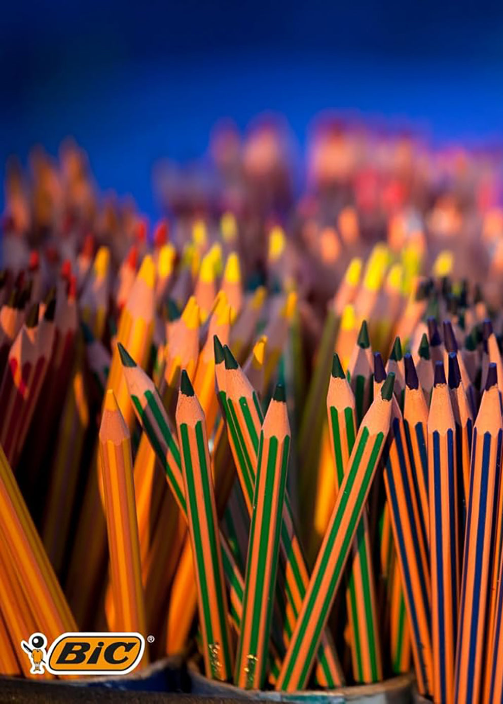 Bic Evolution Stripes 彩色铅笔,12 支装