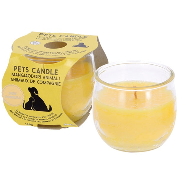 玻璃杯里的花瓣蜡烛可以驱除宠物的气味