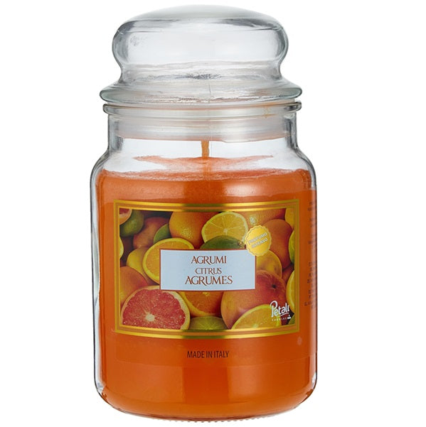 花瓣香薰蜡烛,大糖罐,100小时 - 柑橘