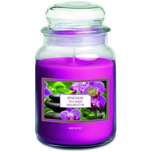 大糖罐里的花瓣香薰蜡烛,100小时 - 幸福