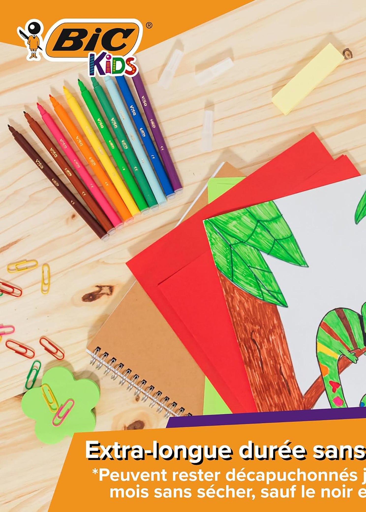 Bic Visa 可水洗记号笔 - 12 支装