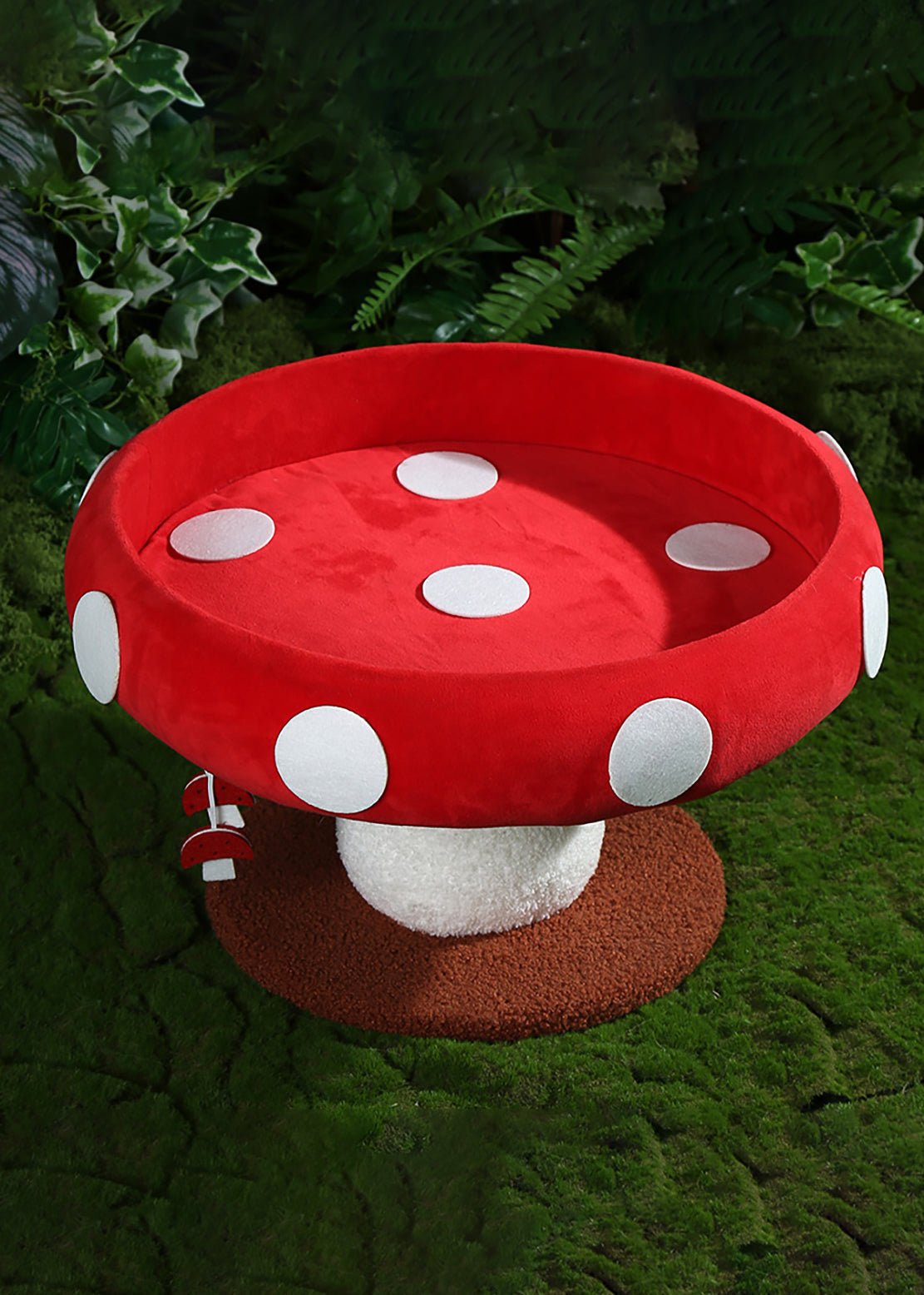 CUCCIA FORMA DI FUNGO MPJC54