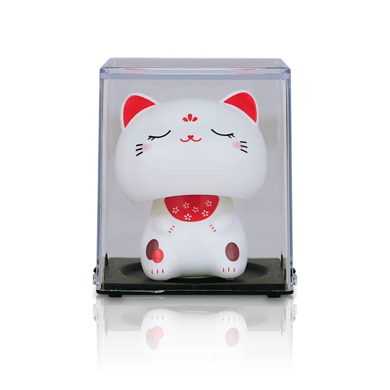 Gattino con la testa in movimento porta fortuna