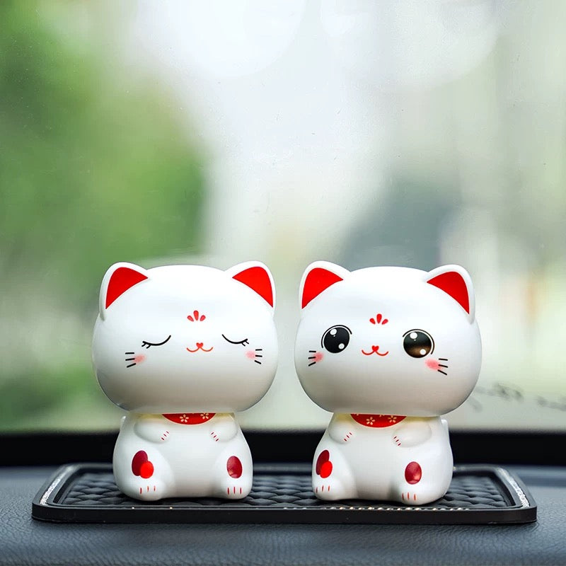 Gattino con la testa in movimento porta fortuna