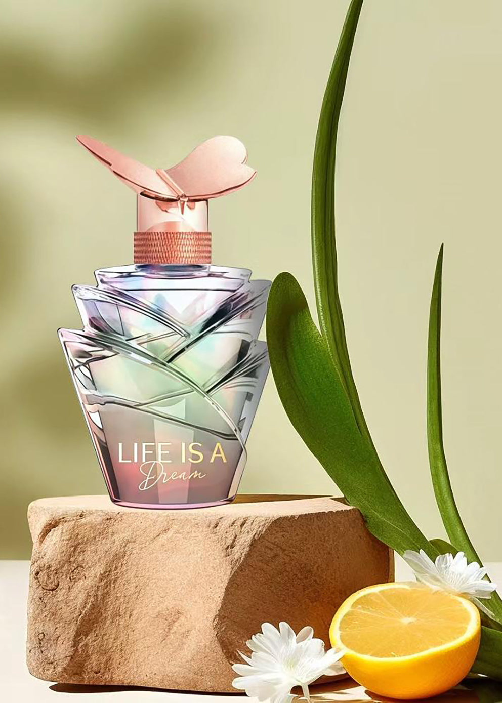 人生如梦天然香水喷雾女士甜美淡香水 3.4 液体盎司特制礼盒装