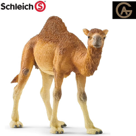 Schleich dromedario