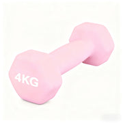 哑铃6公斤（1个）