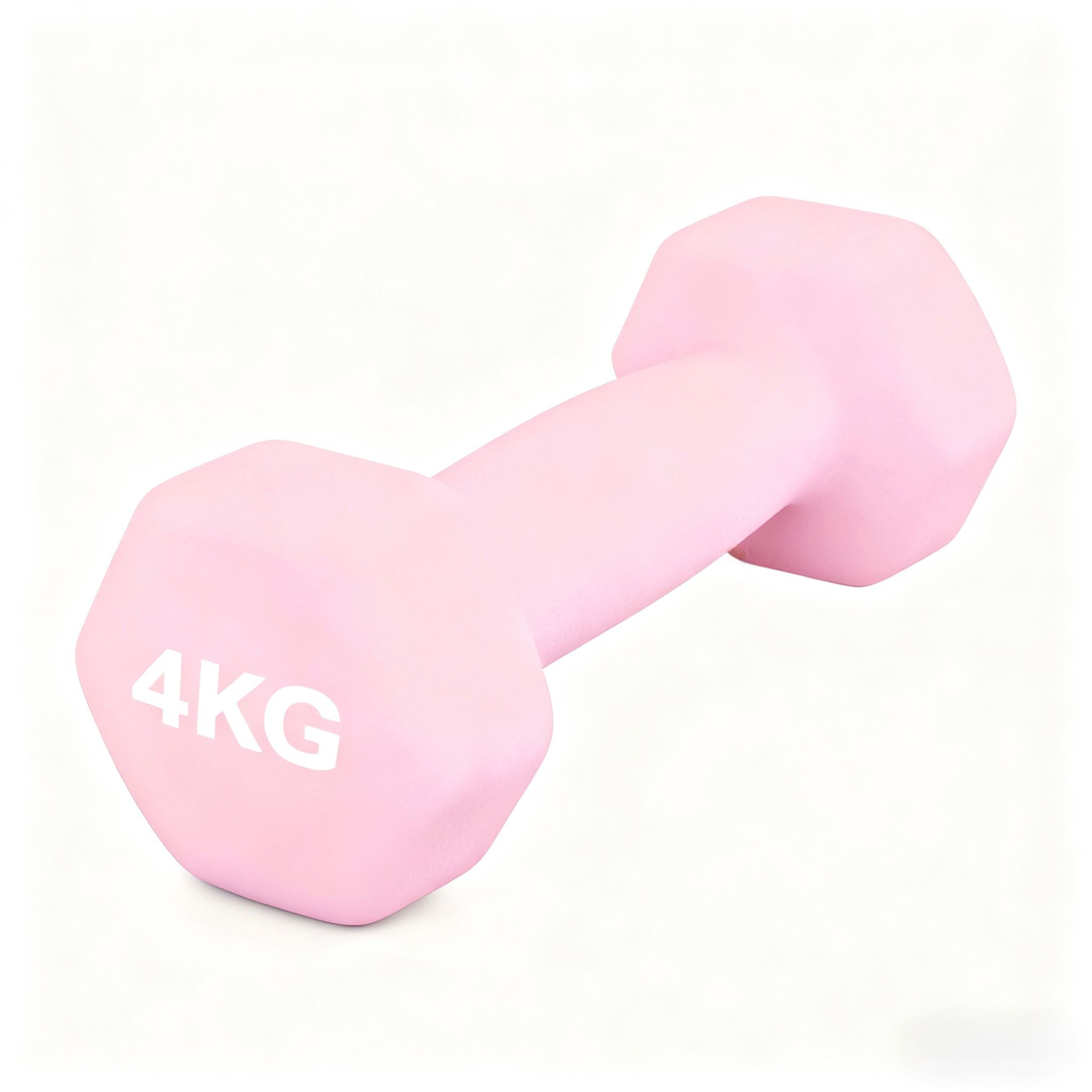 哑铃6公斤（1个）