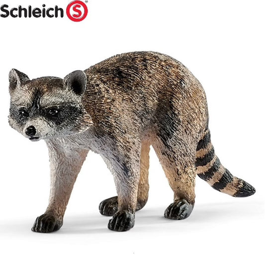 Schleich procione